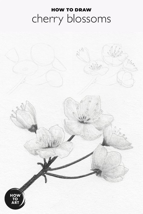 How To Draw A Cherry Blossom Tree, How To Draw Cherry Blossoms, Drawing Of Cherry Blossoms, Drawing Cherry Blossoms, Tiny Aesthetic, Drawing Cherry, Chinese Blossom, Cherry Blossom Drawing, Sketchbook Prompts