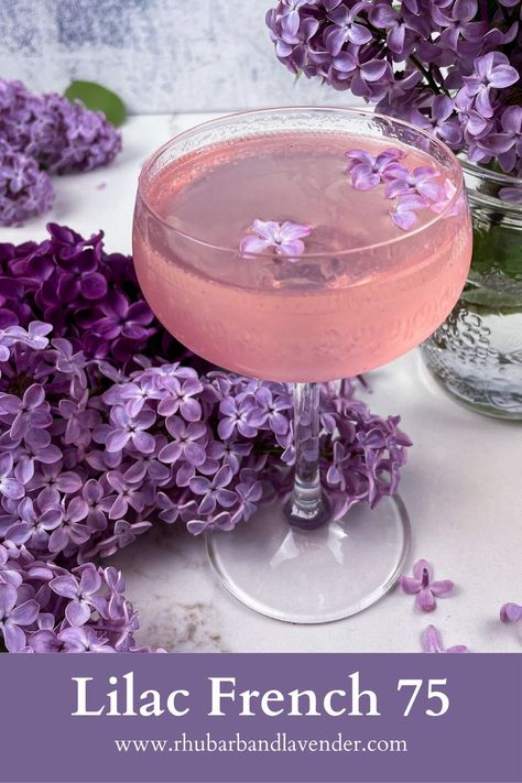 Purple Food Coloring, Purple Cocktails, Purple Food, French 75, Floral Cocktails, Spring Cocktails, Spring Blossoms, Fancy Drinks, Mixed Drinks Recipes