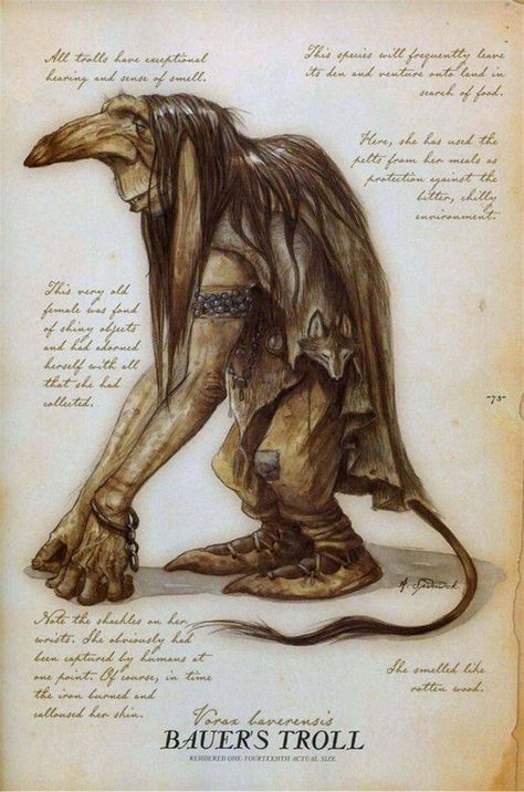 Spiderwick Creatures, Arthur Spiderwick, Mallory Grace, Magical Creatures Mythology, The Spiderwick Chronicles, Mystical Creatures Mythology, Fantasy Creatures Mythology, Tony Diterlizzi, Spiderwick Chronicles