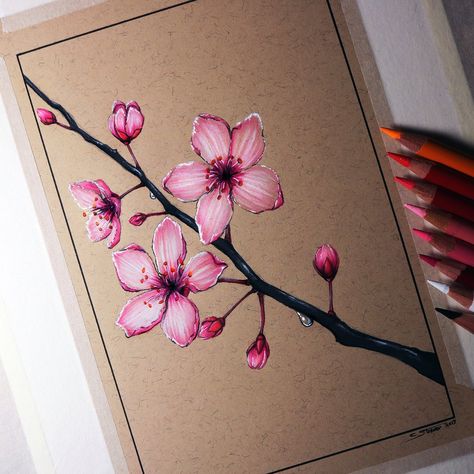 Trees Drawing Tutorial, Blossom Drawing, Anime Cherry Blossom, Cherry Blossom Drawing, Tree Drawing Simple, Blossom Tree Tattoo, Tree Drawings Pencil, Sakura Art, Japanese Drawings