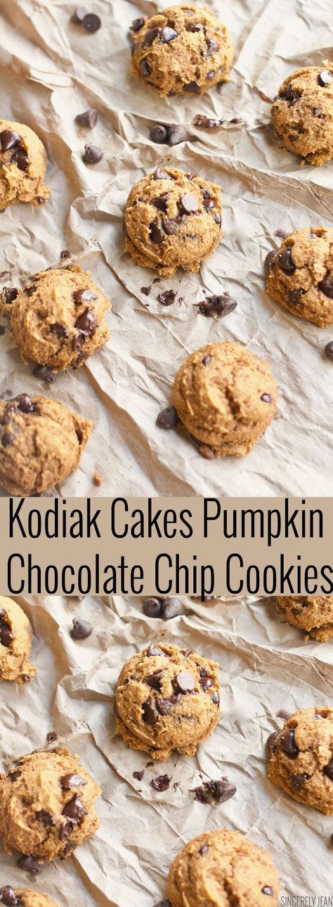 Kodiak Cake Pumpkin Chocolate Chip Cookies, homemade, cookies, healthy, easy, recipe, dessert, fall Chocolate Chip Cookies Homemade, Kodiak Cakes Recipe, Healthy Easy Recipe, Cookies Pumpkin, Cake Pumpkin, Dessert Oreo, Cookies Homemade, Pumpkin Cookie Recipe, Cookies Healthy