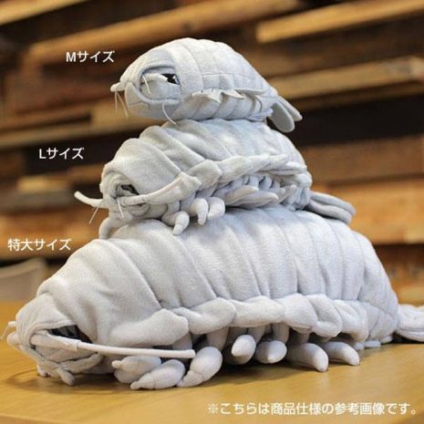 These may not be pillows exactly, but the photos certainly suggest you can use them as such. Perhaps they’re considered more isopod… Isopod Plush, Nerd Core, Giant Isopod, Old Teddy Bears, Weird Things, Sea Creature, Cute Stuffed Animals, Ocean Animals, Cool Items