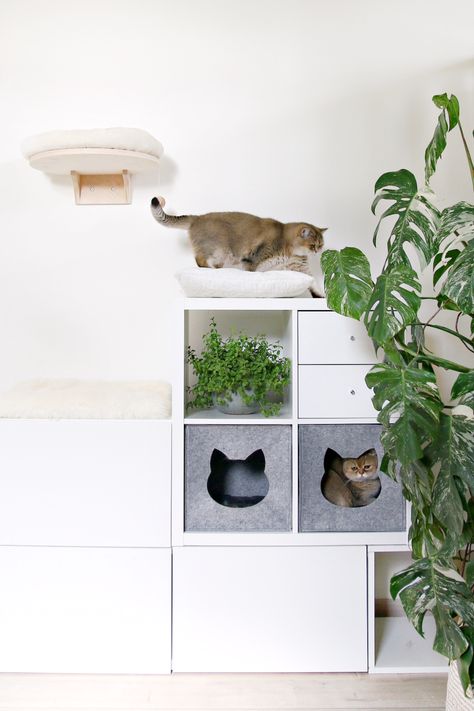 20+ Easy IKEA Hacks for Cats (and Cat Parents!) - Whiskers Magoo Kallax Cat Bed, Cat Kallax Hack, Diy Cat Cubby, Ikea Kallax Cat Hack, Ikea Hack Cat Tree, Kallax Cat Hack, Ikea Cat Hack, Bookshelf Cat Tree, Kallax Cat