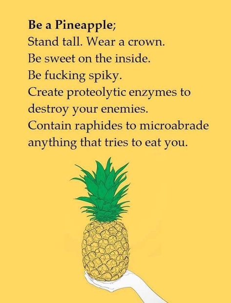 Pineapple Pool Party, Cheer Up Funny, Hawaii Trip Planning, Pineapple Illustration, Be A Pineapple, Cheer Up Quotes, Book Haul, American Gods, Cheer Me Up