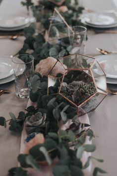 Terrarium Centre Pieces Wedding, No Flower Wedding Centerpieces, Terrarium Flowers, Terrarium Wedding Centerpiece, Succulent Wedding Table, Centrepiece Wedding, Terrarium Centerpiece, Fern Wedding, Wedding Centrepiece