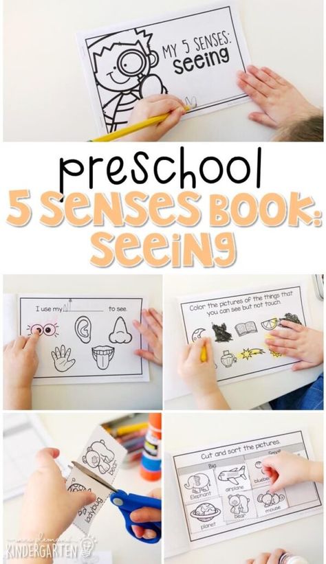 Preschool 5 Senses, 5 Senses Preschool, 5 Senses Activities, Senses Preschool, The 5 Senses, Senses Activities, Lesson Plans For Toddlers, Science Skills, 5 Senses