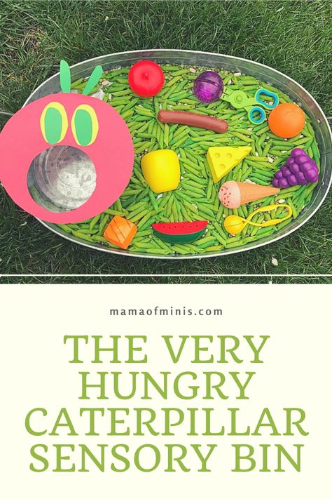 Hungry Caterpillar Sensory Bin Bug Themed Sensory Bin, Caterpillar Preschool Theme, The Very Hungry Caterpillar Crafts For Infants, Insect Sensory Table, Preschool Hungry Caterpillar Theme, Sensory Preschool Ideas, Sensory Theme Preschool, The Hungry Caterpillar Sensory Bin, The Very Hungry Caterpillar Sensory Play