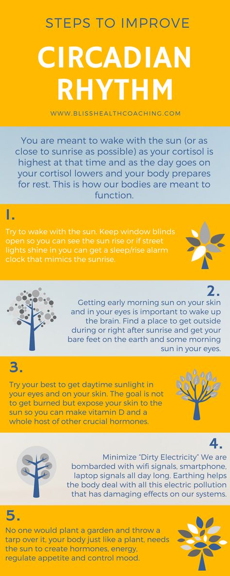 Circadian Rhythm is vital to your hormone creation and health. Learn how you can improve your internal clock. Insomnia Causes, Body Clock, Ways To Sleep, How To Sleep Faster, How To Sleep, Sleep Health, Lack Of Energy, How To Get Better, Circadian Rhythm