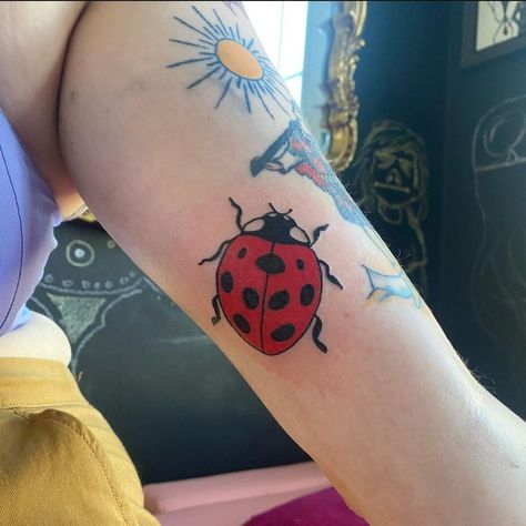 Traditional Ladybug Tattoo, Tattoo Red And Black, Ladybug Tattoos, Ladybug Tattoo, Tattoo Red, Lady Bug Tattoo, Bug Tattoo, Meaningful Tattoo, A Ladybug