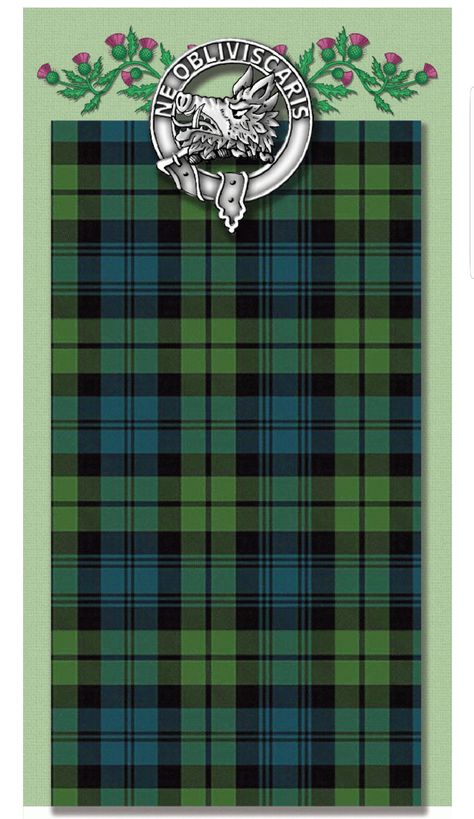 Campbell Plaid, Clan Campbell, Campbell Clan, Clan Tartans, Campbell Tartan, Scottish Clothing, Ireland History, Tartan Clothing, Scotland History