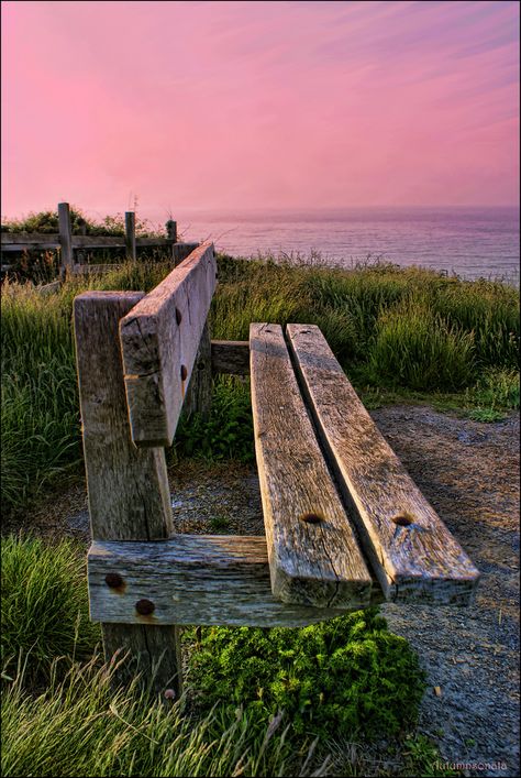 An old bench at the clifftop walk from Aberporth to Tresaith, Wales Beach Bench, Old Benches, Old But Gold, Cottage By The Sea, Perfect World, Relax Time, Love Images, Amazing Nature, Volcano