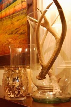 Antler Ideas, Deer Antler Decor, Antler Crafts, Deer Horns, Antler Art, Hunting Decor, Deer Decor, Deer Antlers, Glass Vases