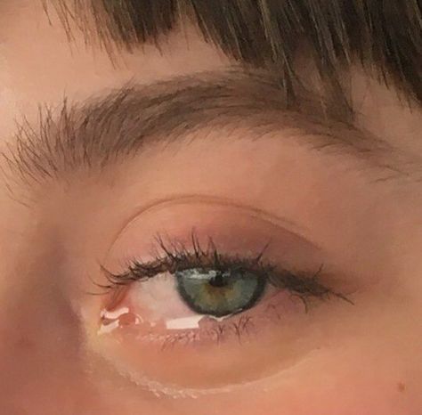 Eye References, Eye Reference, Aesthetic Eyes, Normal People, Pretty Eyes, Reference Photos, Beautiful Eyes, Green Eyes, Art References