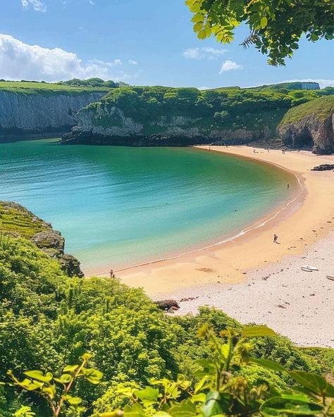 Barafundle Bay, Pembrokeshire Wales, Wales Travel, Travel Companies, British Isles, Days Out, Study Abroad, Wales, Eye Candy