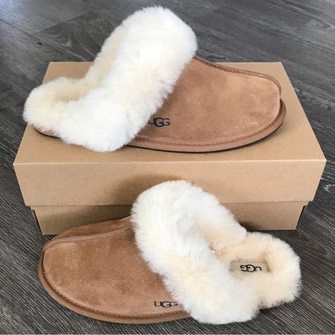 New Ugg Scuffette Ll Slippers Size Various Color Chestnut Suede Upper Uggpure Wool Lining And Insole Rubber Outsole Sz Tag Are Marked With Red To Prevent Store Returns Cute Uggs Aesthetic, Aesthetic Uggs, Uggs Slippers, Ugg Coquette Slippers, Cute Uggs, Ugg Scuffette, Shoe Room, Preppy Shoes, Pretty Shoes Sneakers