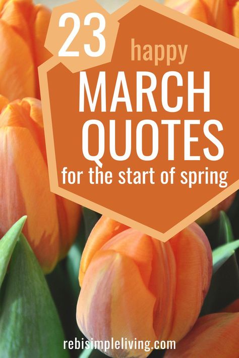 23 happy march quotes for the start of spring March 9 Quotes, Month Of March Quotes Inspiration, Quotes About March Month, Quotes For March Month, March Blessings Quotes, March Funny Quotes, March Quotes Month Of, March Motivational Quotes, Welcome March Quotes