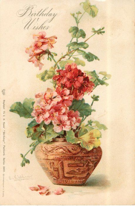 BIRTHDAY WISHES red, pink & yellow geraniums in decorated brown pot Catherine Klein, Red Geraniums, Flowers In Jars, Graphics Fairy, Shabby Flowers, Floral Image, Botanical Watercolor, Botanical Drawings, Rose Painting