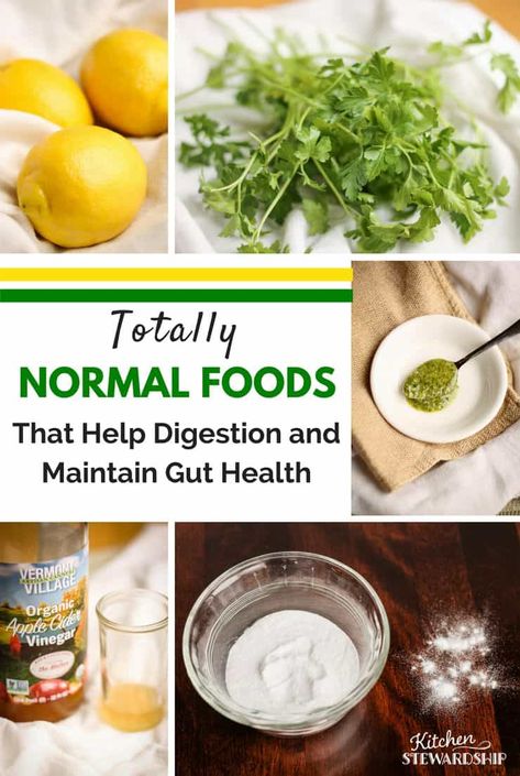 Totally Normal Foods That Help Digestion, Maintain Gut Health and Reduce Food Cravings - from a real family just trying to do their best to be healthy #naturalremedies #naturalhealth Medical Remedies, My Stomach Hurts, Eat Something, Tummy Ache, Help Digestion, Diy Remedies, Did You Eat, Health Inspiration, Food Help