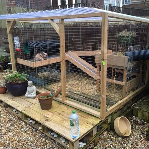 Bunny run/hutch Outdoor Rabbit Run, Rabbit Cages Outdoor, Rabbit Shed, Guinea Pig Run, Diy Rabbit Hutch, Rabbit Pen, Rabbit Diy, Outdoor Rabbit Hutch, Rabbit Enclosure