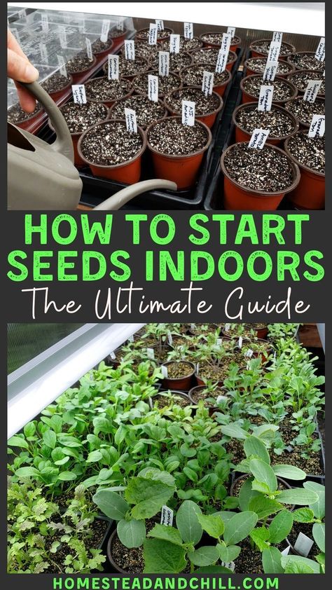 Start Seeds Indoors, Starting Seeds Indoors, Garden Hacks, Gardening 101, Starting A Garden, Garden Types, Home Vegetable Garden, Greenhouse Gardening, Organic Gardening Tips