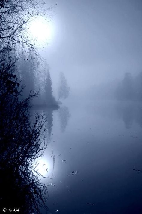 Foggy Lake, Misty Morning, Alam Yang Indah, Pics Art, Amazing Nature, White Photography, Nature Beauty, Beautiful World, Wonders Of The World