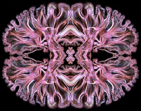 Greg Dunn Neuro Art, Neurotechnology Aesthetic, Cognitive Science Aesthetic, Neuroscience Wallpaper, Brain Aesthetic, Neuroscience Art, Purple Art Abstract, Brain Tattoo, Horror Photos