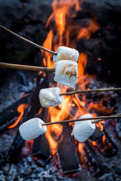 Winter Bbq, Toasting Marshmallows, Campfire Marshmallows, Mini Pizzas, Pasta Primavera, Camping Aesthetic, Roasting Marshmallows, S'mores, Toasted Marshmallow