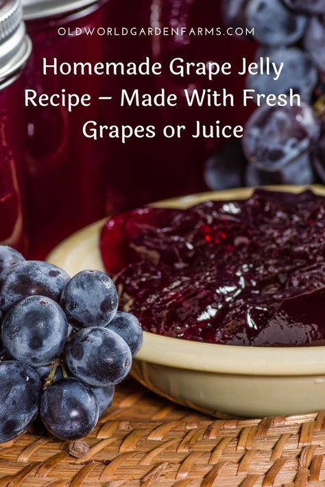 Homemade Grape Jelly Recipe, Concord Grape Jelly Recipe No Pectin, Grape Jelly With Grape Juice, Grape Jelly With Liquid Pectin, Grape Jam From Fresh Grapes, Making Grape Jelly With Fresh Grapes, Grape Jelly Recipe With Sure Jell, Homemade Grape Jelly From Grapes, What To Do With Grapes Recipes