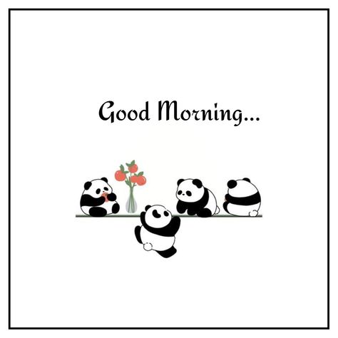 Picture Good Morning, Hi Good Morning, Cute Good Morning Pictures, Sweet Good Morning Images, Good Morning Clips, Good Morning Love Gif, Happy Day Quotes, Daily Greetings, Good Morning Coffee Images