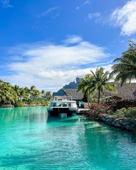 Considering a trip to the Four Seasons Bora Bora? Here's everything you need to know before you book, plus how it compares to the St. Regis. Find a Bora Bora packing list as well as a complete Four Seasons Bora Bora review including staying the in Four Seasons Bora Bora bungalows. | bora bora best resorts | bora bora resorts bungalows | bora bora luxury resorts | bora bora bungalow luxury | four seasons resort bora bora | four seasons hotel bora bora | four seasons bora bora honeymoon Bora Bora Bungalow, Beach Travel Essentials, Honeymoon Packing List, Trip To Bora Bora, Four Seasons Bora Bora, Bora Bora Honeymoon, Bora Bora Resorts, St Regis Hotel, Have A Great Vacation