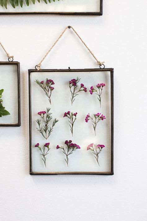 You can find a similar hanging frame to this one at H&M for $7.99. Thailand House, Rustic Packaging, Do It Yourself Decoration, Pressed Flowers Diy, Diy Wand, Cute Dorm Rooms, Casa Vintage, Dried And Pressed Flowers, Creative Stuff