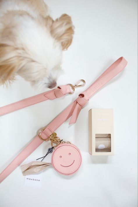 Dog Walking Bag Essentials, Dog Bags Travel, Aesthetic Dog Supplies, Aesthetic Dog Stuff, Dog Business Ideas, Cute Dog Accessories, Luxury Dog Accessories, Cozy Beds, Socializing Dogs