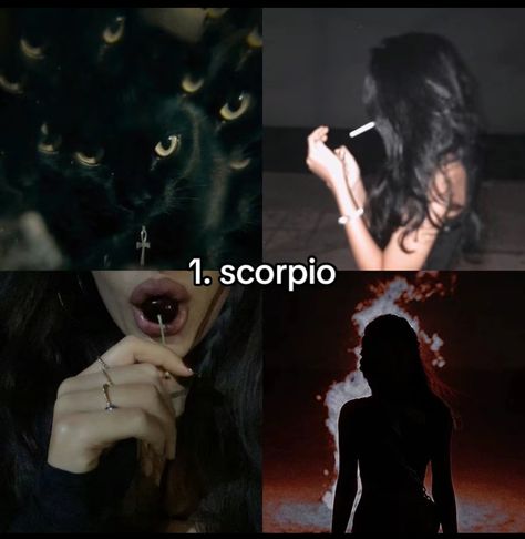 Scorpion Zodiac, Scorpio Halloween, Scorpio Interior, Scorpio Women Aesthetic, Scorpion Woman, Scorpio Woman Aesthetic, Scorpio Girl Aesthetic, Scorpio Energy, Zodiac Scorpio Aesthetic