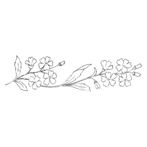 155 Verbena (free download) – Enliven Designs Verbena Drawing, Verbena Flower Tattoo, Pattern Embroidery Design Drawings, Verbena Flower, Letter Flowers, Grace Tattoos, Flower Tattoo Drawings, Flower Tattoo Back, Sunflower Drawing