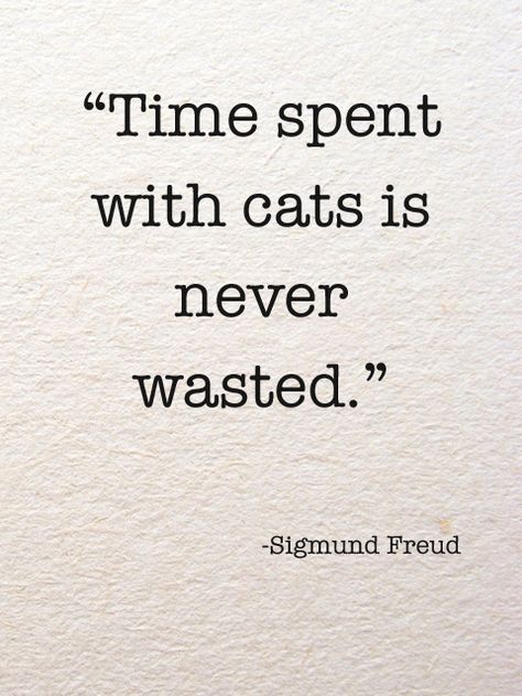 "Time spent with cats is never wasted." –Sigmund Freud — Luster of the Month: A Cat's World — Spectacular Design Interior Designers Freud Frases, Cat Vs Human, Cats Quotes, Just Happy Quotes, Sigmund Freud, Cat Quotes, A Quote, Crazy Cat Lady, Crazy Cats