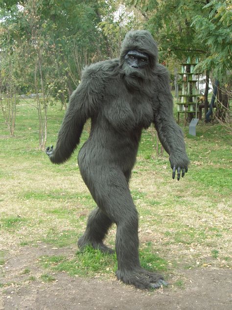 Female Bigfoot, Real Bigfoot Pictures, Finger Picture, Real Bigfoot, Gorilla Costumes, Bigfoot Birthday, Bigfoot Pictures, Yeti Bigfoot, Pie Grande