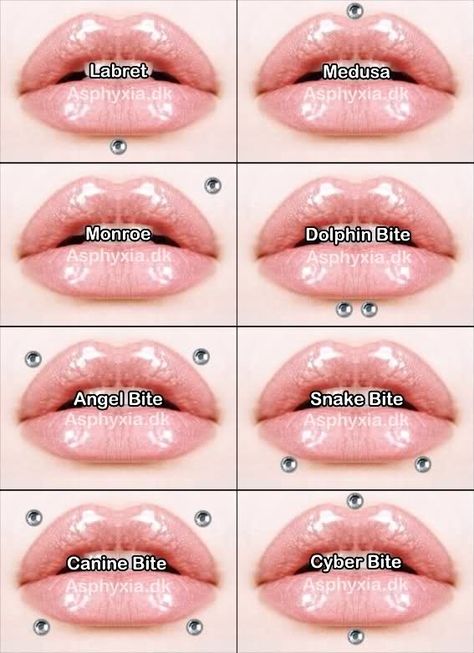 Different lip piercings Lip Piercing Names, Ashley Piercing, Mouth Piercings, Ear Piercings Chart, Piercing Chart, Lip Piercings, Piercing Labret, Snakebites, Face Piercings