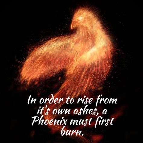 In order to rise from its own ashes, a phoenix must first burn. - Mindset Made Better Beautiful Disaster Tattoo, Disaster Tattoo, Rise From The Ashes, Improve Cognitive Function, Today Quotes, Feel Like Giving Up, Be Gentle With Yourself, Comparing Yourself To Others, Bible Encouragement