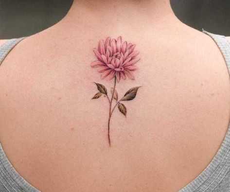 Chrysanthemum Flower Drawing, Flower Back Tattoo, Chrysanthemum Flower Tattoo, Chrysanthemum Tattoo, Cross Tattoos For Women, Flower Tattoo Back, Wildflower Tattoo, Special Tattoos, Floral Tattoo Design