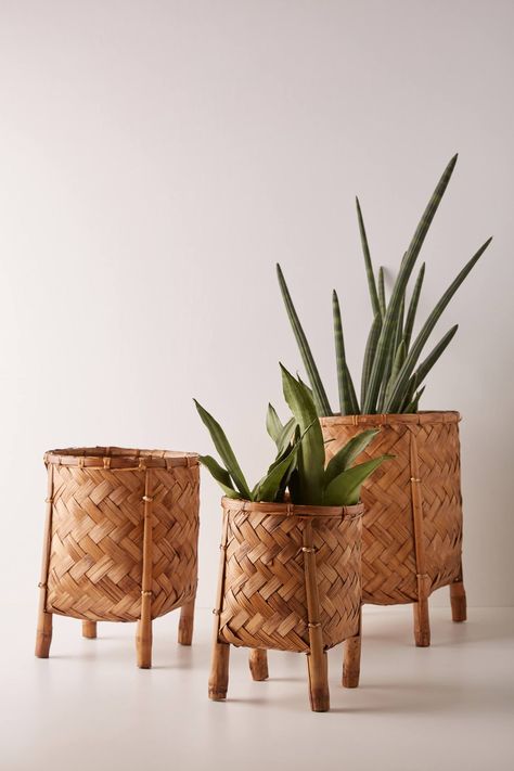 Diy Planters Indoor, Vertical Garden Wall Planter, Bamboo Planter, Bamboo Decor, Vertical Garden Wall, Anthropologie Home, Basket Planters, Diy Pots, Floral Garden