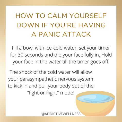 Cold Water Face Dip, Ice Water Face Dip, Ice Cold Water, Mental Health Counseling, Reishi Mushroom, Ice Water, Health Technology, Mental And Emotional Health, Living Tips