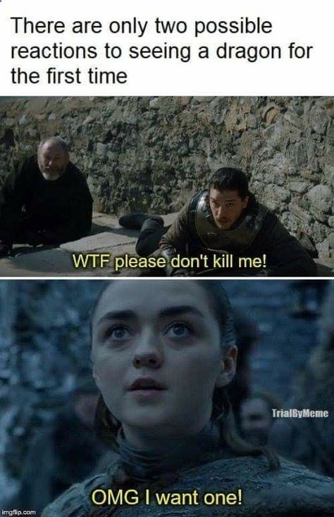 First reactions to seeing a dragon, Game of Thrones. #GOT #gameofthrones #winteriscoming #gotseason8 Dragon Game Of Thrones, Game Of Thrones Wallpaper, Game Of Thrones Meme, Game Day Quotes, Game Of Thrones Facts, Game Of Thrones Books, Got Game Of Thrones, Game Of Thrones Quotes, Fire And Blood