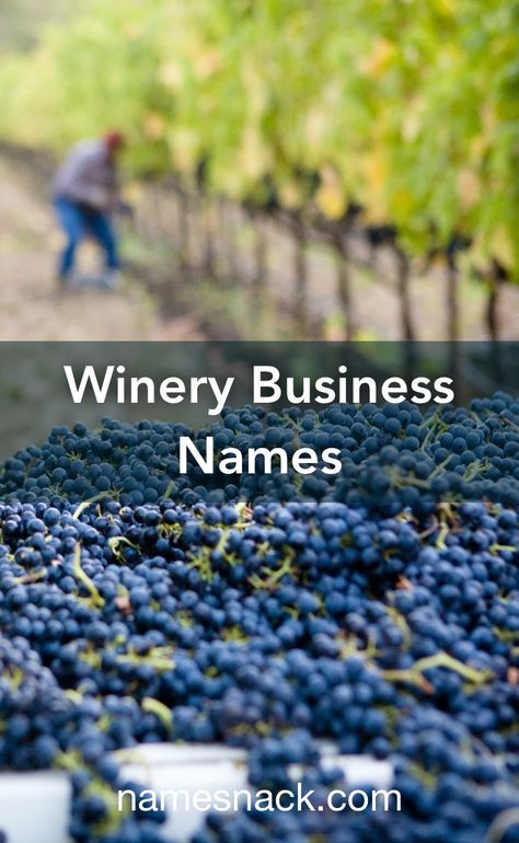 Wine Names Ideas, Winery Marketing Ideas, Wine Bar Business Ideas, Winery Business, Napa Winery Map, Wine Pub, Wine Names, Free Logos, Truck Names