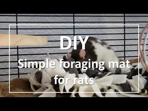 DIY Washable Foraging Mat: Enrich Your Pet Rats' Playtime! - YouTube Diy Rat Foraging Toys, Diy Rat Cage Accessories, Rat Accessories, Diy Rat Toys, Rat Care, Rat Cage Accessories, Rat Hammock, Pet Diy, Diy Hammock