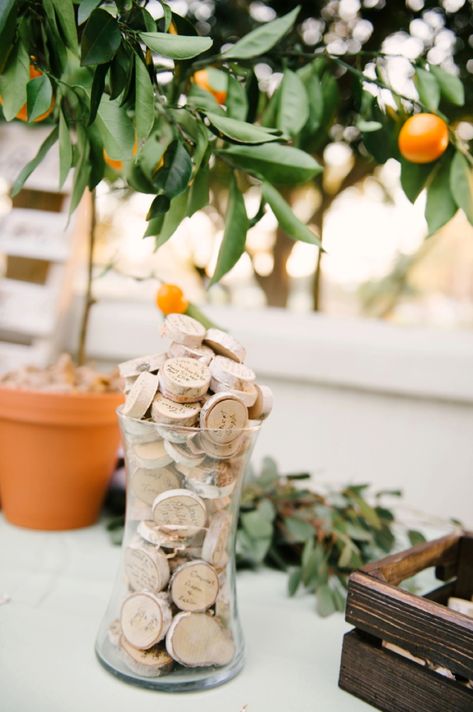 Old Florida Wedding Decor, Old Florida Wedding Theme, Florida Themed Party, Florida Wedding Favors, Florida Winter Wedding, Old Florida Decor, Old Florida Wedding, Sage And Orange, Cute Calligraphy