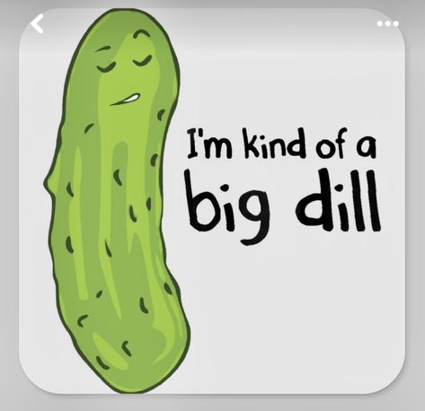 Pickle Quotes, Veggie Puns, Terra Cotta Pot Crafts Diy, Big Dill, Double Entendre, Canning Labels, Pirate Theme Party, Short Jokes Funny, Rock Painting Designs