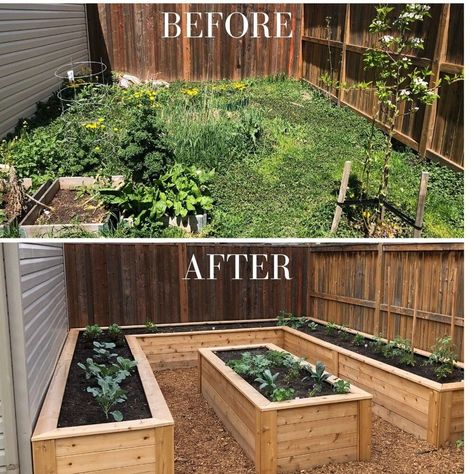 Plan Potager, Home Vegetable Garden Design, Diy Raised Garden, Plants Growing, Backyard Vegetable Gardens, Raised Garden Beds Diy, Home Vegetable Garden, Garden Yard Ideas, Backyard Garden Design