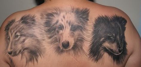 sheltie tattoo Sheltie Tattoo, Sheepdog Tattoo, Henna Ink, Train Drawing, Party Tattoos, Turtle Tattoo, Train Art, Lucky Dog, Brave Enough