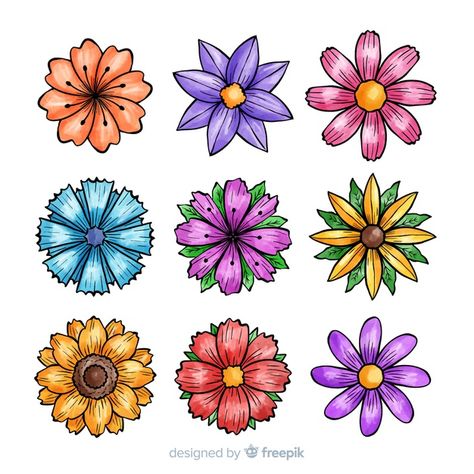 Colorful Flower Drawings Doodles, Colored Flowers Drawing, Types Of Flowers Drawing, Flower Clipart Printables, Procreate Beginner Tutorials, Flower Drawing Color, Floral Doodle Art, 2d Flowers, Simple Flower Art