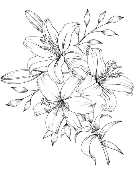 Lilies symbolize humanity and devotion ♥️  #adultcoloring #lily White Drawing, Flower Coloring Pages, Black And White Drawing, Coloring Pages, Black And White, Flowers, Black, Colouring Pages